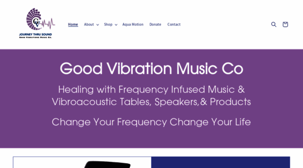 goodvibrationsmusicco.com