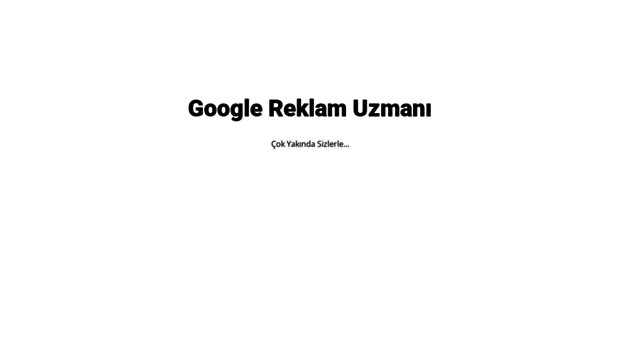 googlereklamuzmani.com