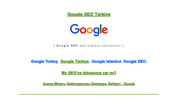 googleturkey.info