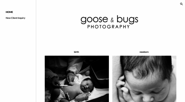 gooseandbugsphotography.com