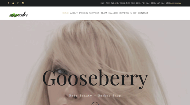 gooseberrysalon.com