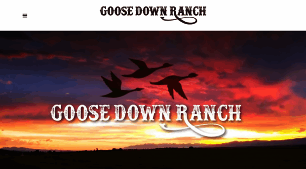 goosedownranch.com