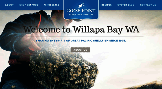 goosepoint.com