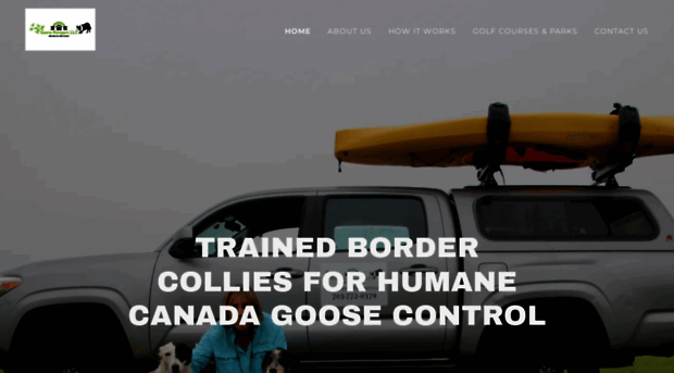gooserangers.com