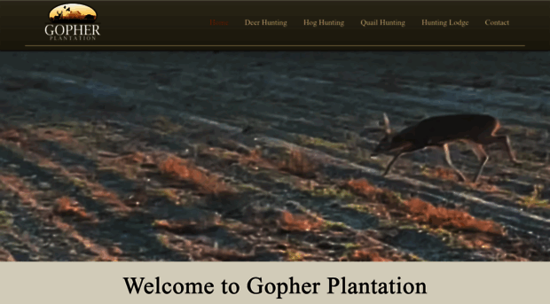 gopherplantation.com