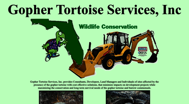 gophertortoise.org