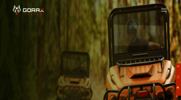 goraxmotors.com