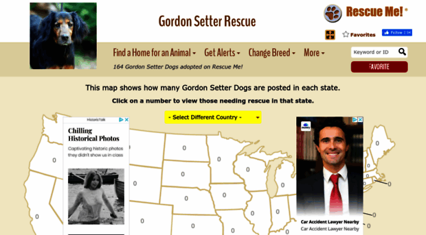 gordonsetter.rescueme.org