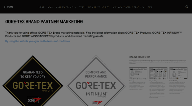 gorepartner.com