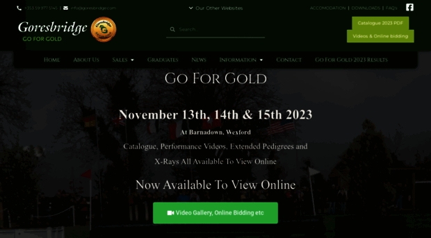 goresbridgegoforgold.com