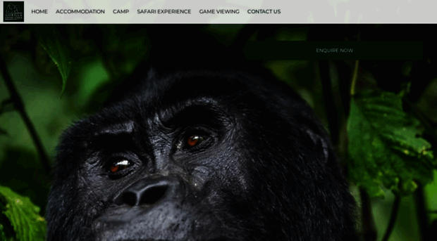 gorilla-safari-lodge.com