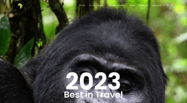 gorilla-safari.com