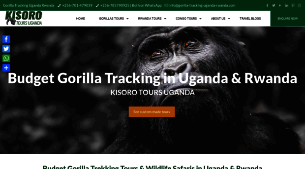 gorilla-tracking-uganda-rwanda.com