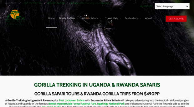 gorilla-tracking-uganda.com