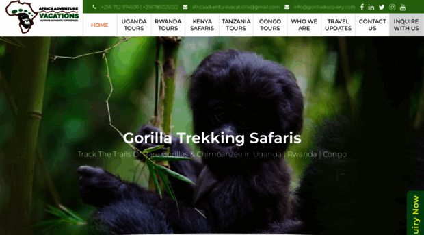 gorilladiscovery.com