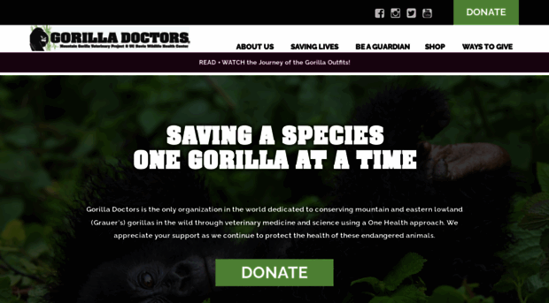 gorilladoctors.org