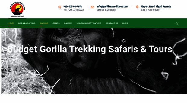 gorillaexpeditions.com