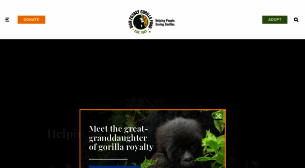 gorillafund.org