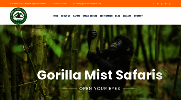 gorillamistsafaris.com