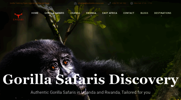 gorillasafaridiscovery.com