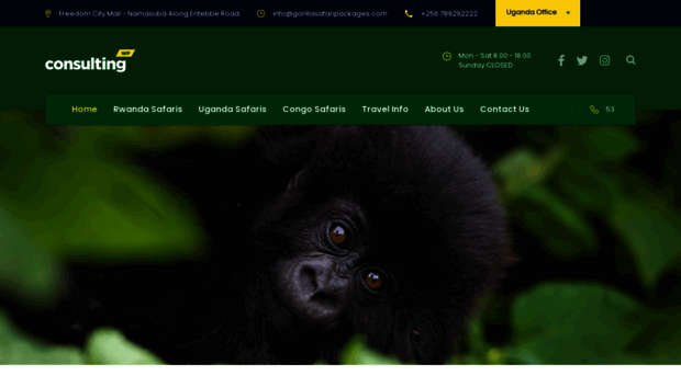 gorillasafaripackages.com