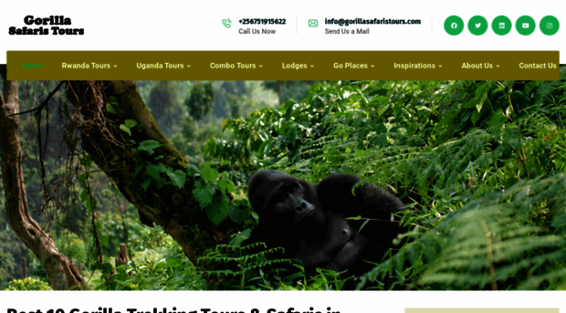 gorillasafaristours.com