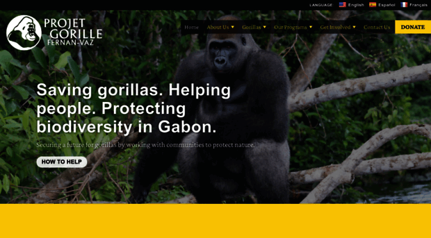 gorillasgabon.org