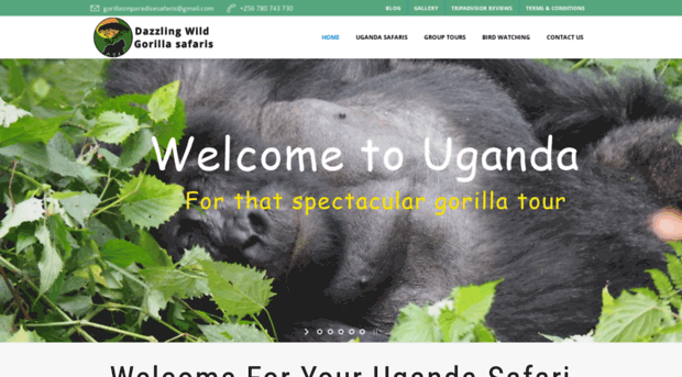 gorillasinparadisesafaris.com