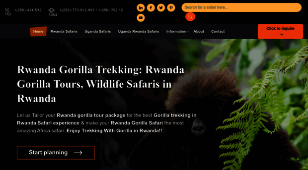 gorillatracking-rwanda.com