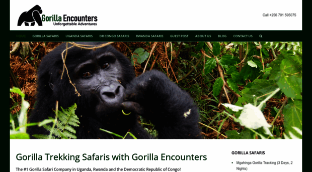 gorillatrekkingsafaris.com