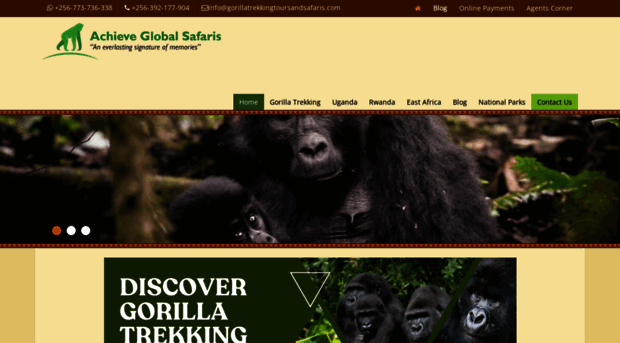 gorillatrekkingtoursandsafaris.com