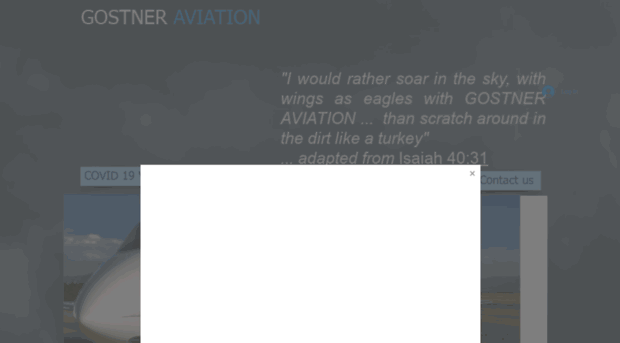 gostneraviation.com