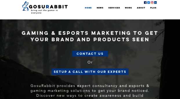 gosurabbit.com