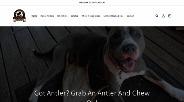 gotantler.com