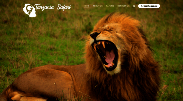 gotanzaniasafari.com