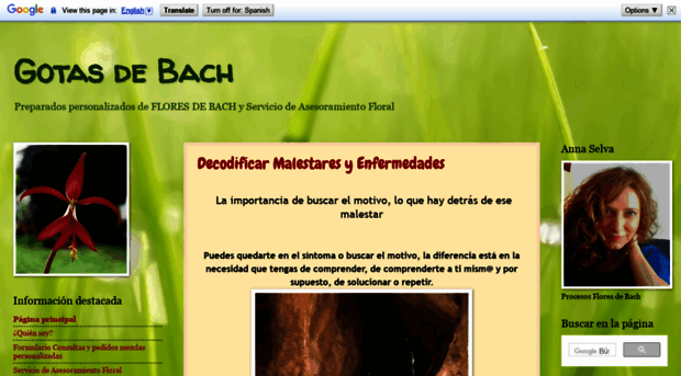 gotasdebach.com