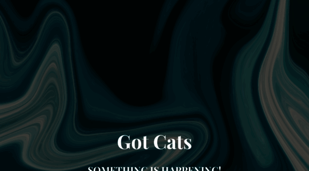 gotcatsonline.com