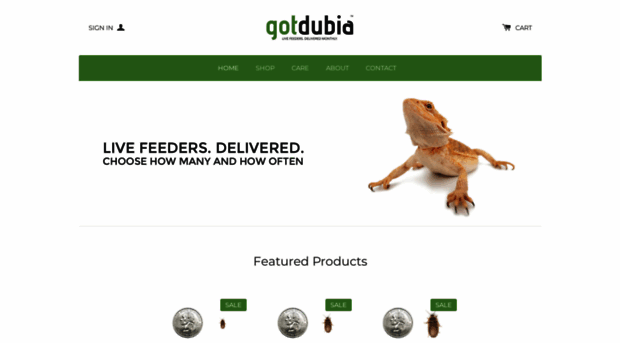 gotdubia.com