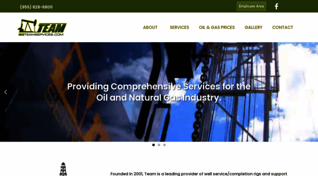 goteamservices.com