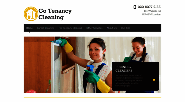 gotenancycleaning.com