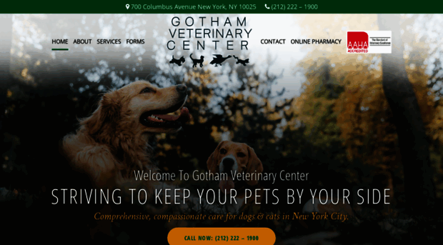 gothamvetcenter.com