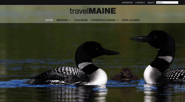 gotravelmaine.com