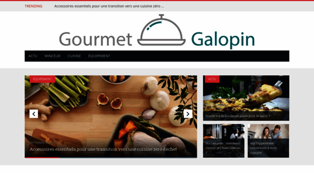 gourmet-galopin.com