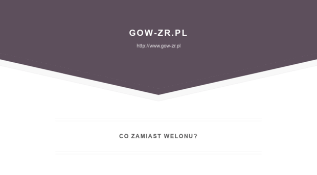 gow-zr.pl