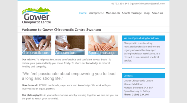 gowerchiropracticcentre.com