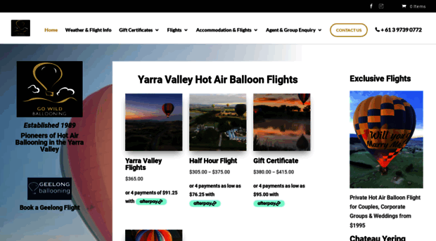 gowildballooning.com.au