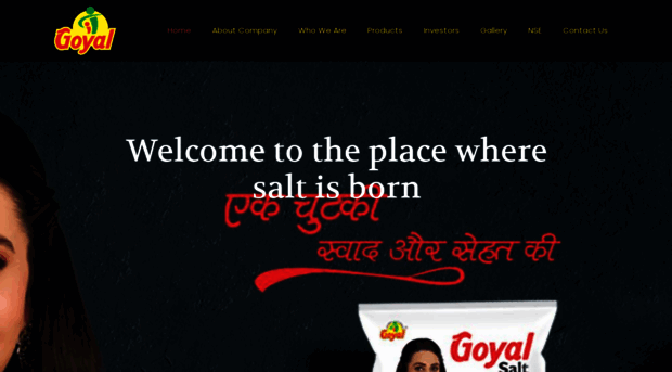 goyalsaltltd.com