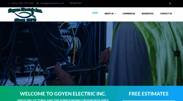 goyenelectric.com