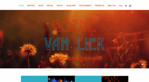 gozdevanlier.com