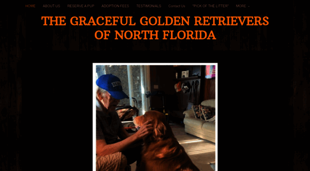 gracefulgoldenretrieversofnorthflorida.com